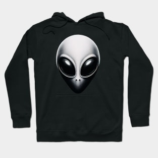 Visitor Hoodie